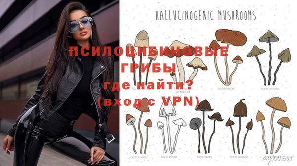 jwh Зеленокумск
